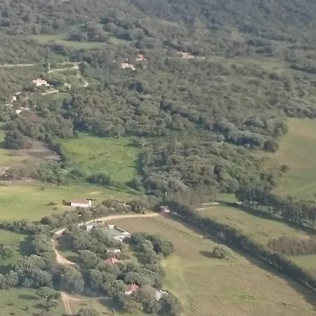 Serenita